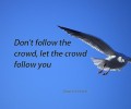 Don’t Follow the Crowd