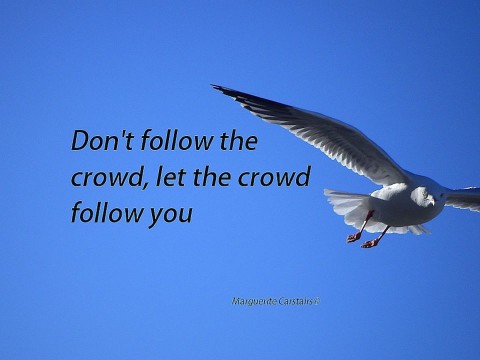 Don’t Follow the Crowd