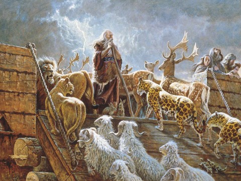 What We Learn From Noah